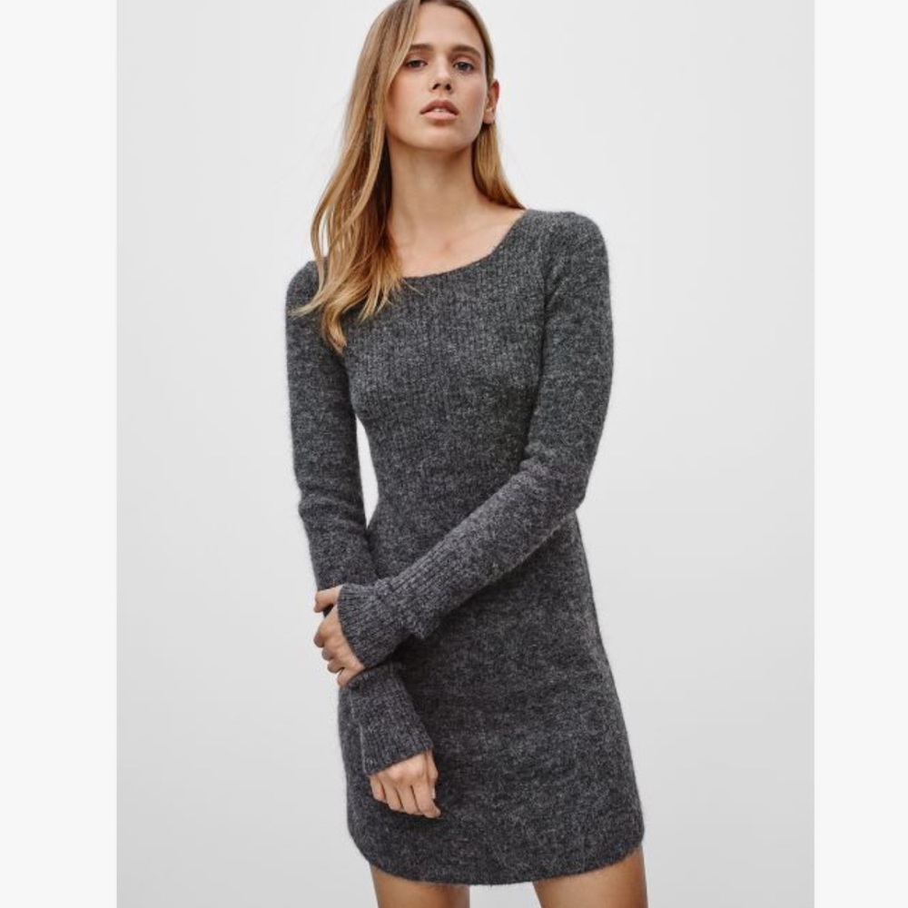 Aritzia Peele Sweater Dress